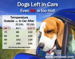 dogs_in_cars_Heat_Risks_Final