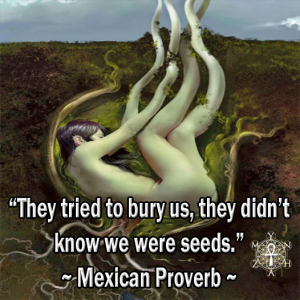 Mexican-Proverb112214